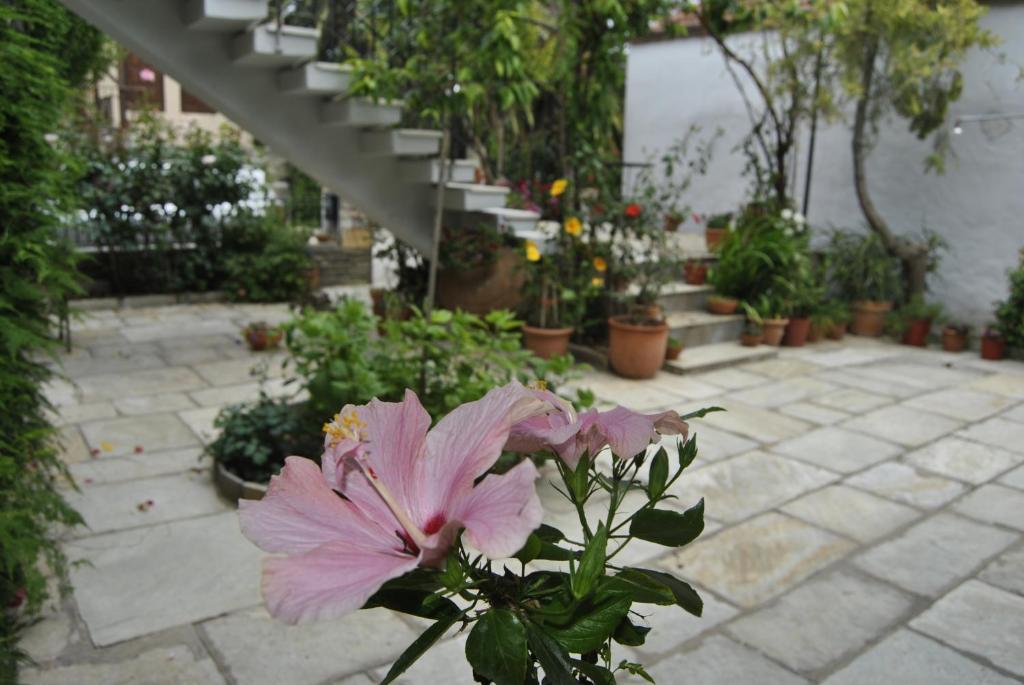 Guesthouse Machi Kato Gatzea Exterior photo